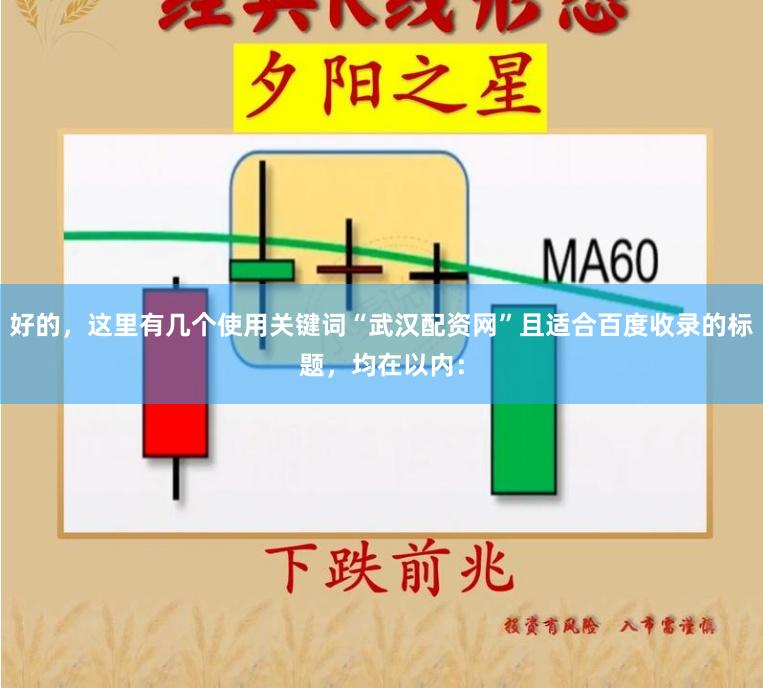 好的，这里有几个使用关键词“武汉配资网”且适合百度收录的标题，均在以内：